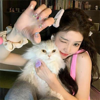 精灵宝可梦：时拉比穿越时空的相遇