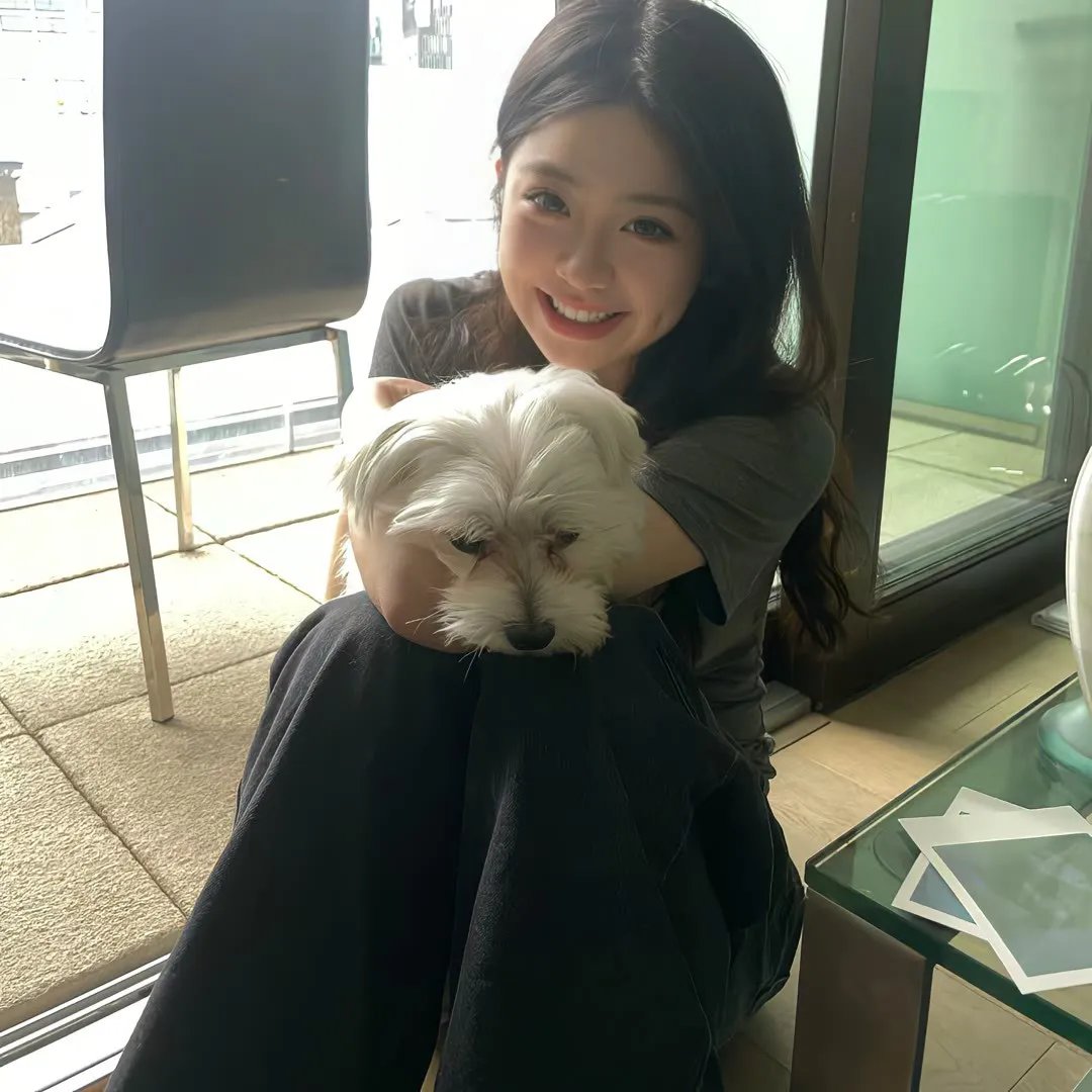 能召回前世的布米叔叔